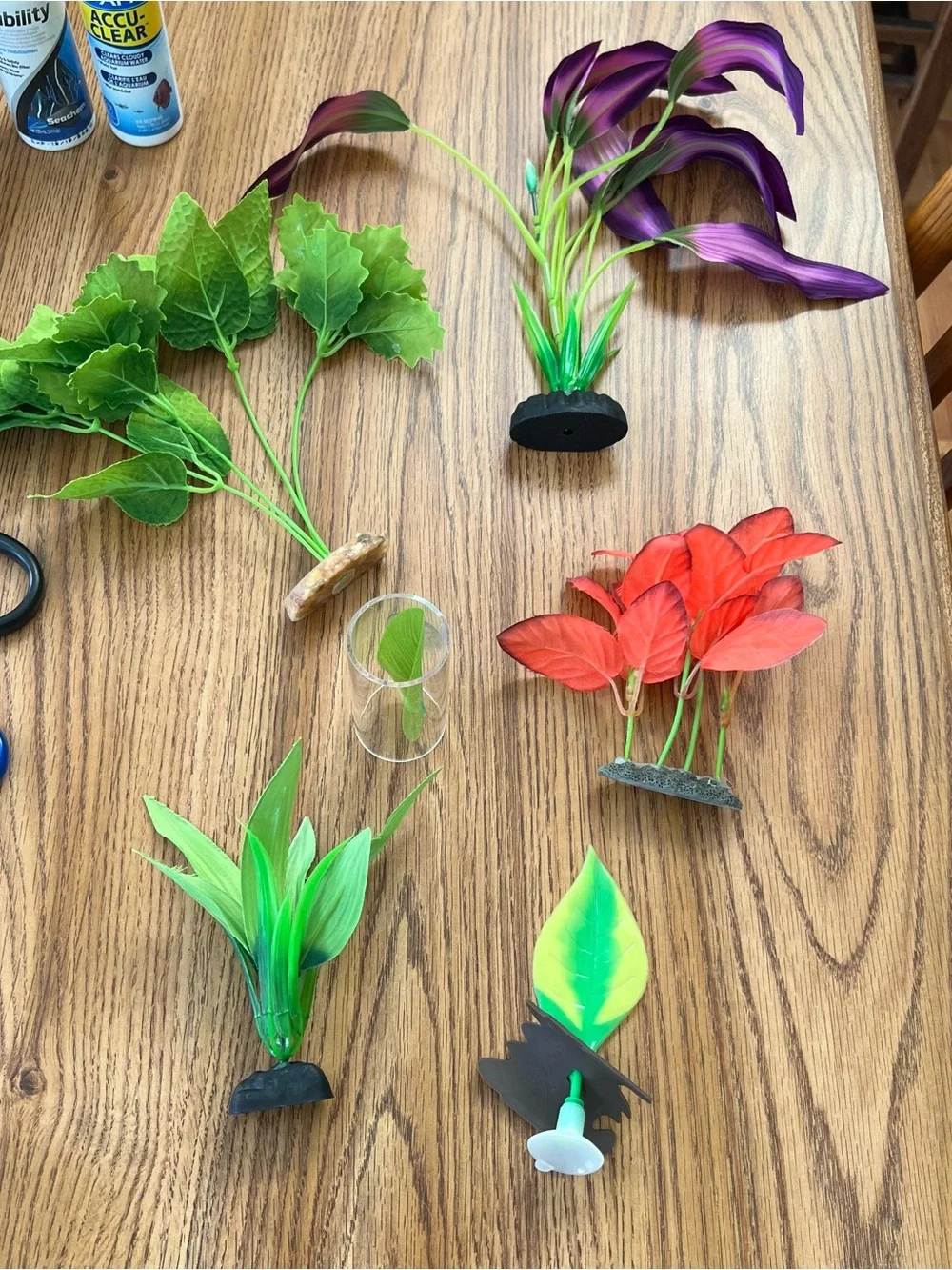 3 gallon aquarium kit